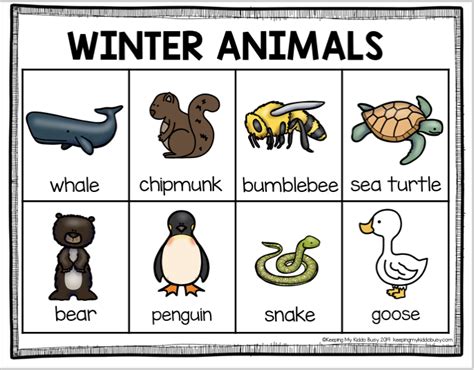 Printable Animals That Migrate In Winter