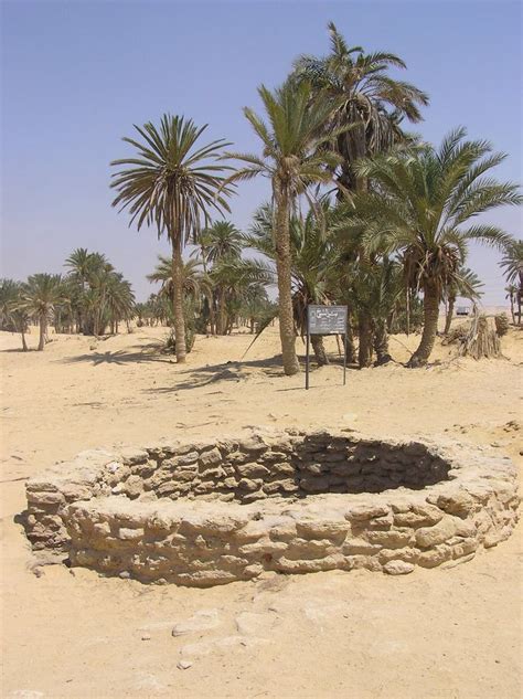 The 12 Wells of Elim: A Biblical Oasis