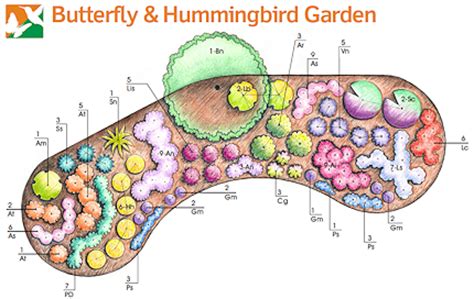 hummingbird garden layout | Fasci Garden