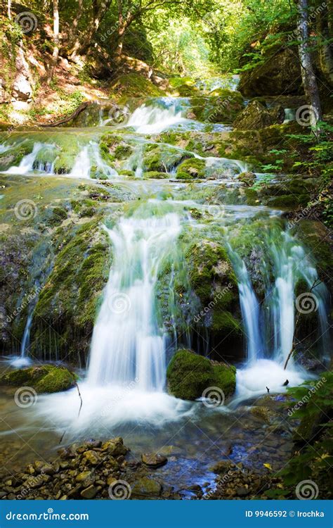 Forest Waterfall stock photo. Image of scene, view, cascade - 9946592