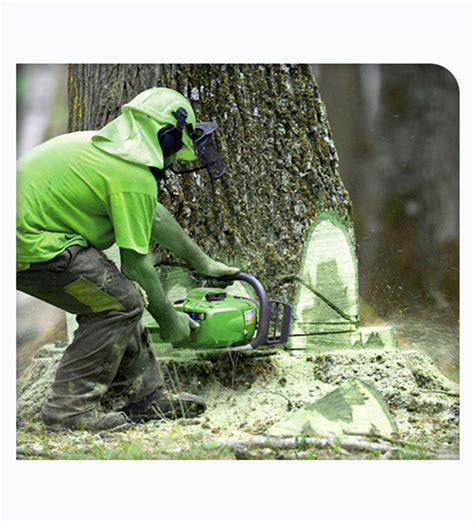 Top ways to remove your trees