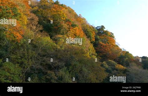 Kameyamalake Stock Videos & Footage - HD and 4K Video Clips - Alamy