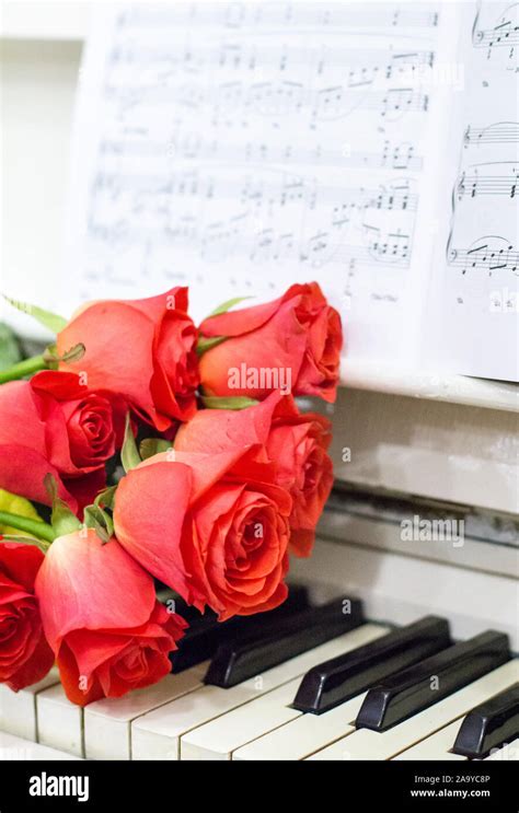 Red roses on a white piano with notes and garlands Stock Photo - Alamy