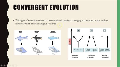 Unit 4 Biology Types of evolution - YouTube