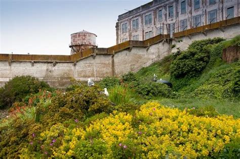 Make an Escape to the Gardens of Alcatraz | Garden Design