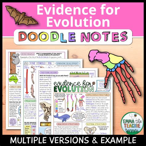 Evidence for Evolution Doodle Notes - Emmatheteachie