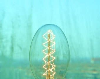 10 antique vintage edison style light bulb 40w 220v by BigToy