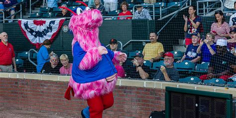 Jumbo Shrimp introduce Scampi second mascot | MiLB.com