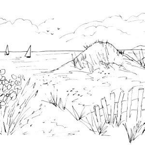 Sand Dunes Sketch | Diane Antone Studio