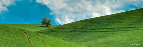 Photography Guide to the Palouse | Chris Marler Photography