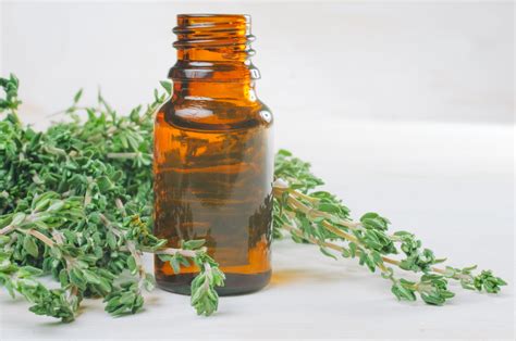 Thyme essential oil - Gjedra