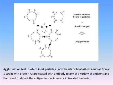 PPT - Laboratory Diagnosis, Prevention and Treatment of Bacterial Infection PowerPoint ...