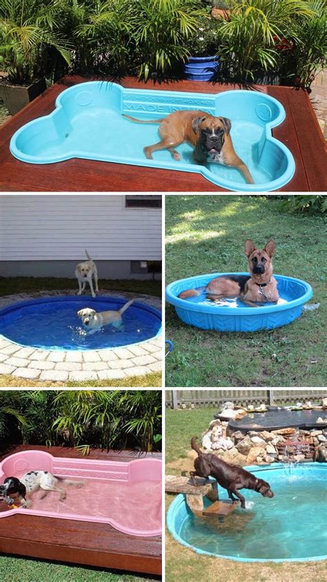 15 Backyard Landscaping Ideas That Will Give Your Dogs Happy Barks