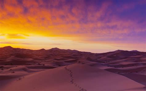 Desert Sunset Wallpapers - Top Free Desert Sunset Backgrounds ...