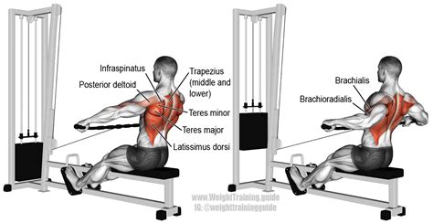 Wide grip cable row. A compound pull exercise. There is no specific ...