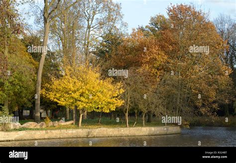 Autumn in Highfields Park, Nottingham, England Stock Photo - Alamy