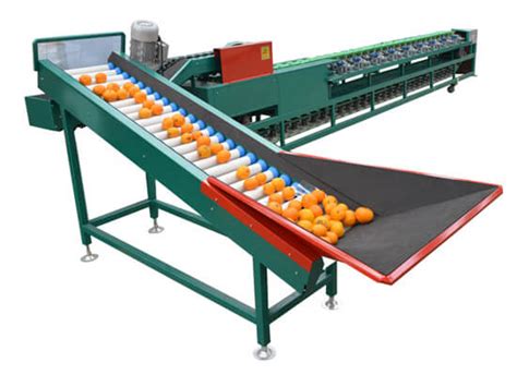 Fruit Sorting Machine-Goldcheer Machinery