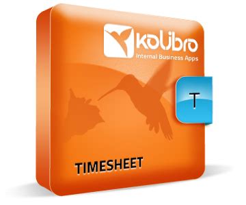 Aplikacja TimeSheet | Kolibro