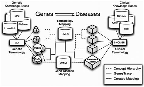 Gene-Disease Mapping | Download Scientific Diagram