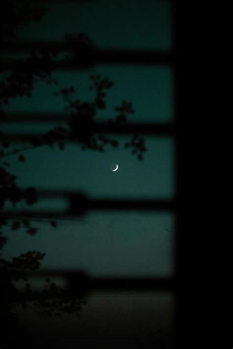 Crescent Moon on the Night Sky · Free Stock Photo