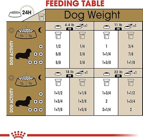 royal canin dachshund puppy feeding guide - Alexa Noyes