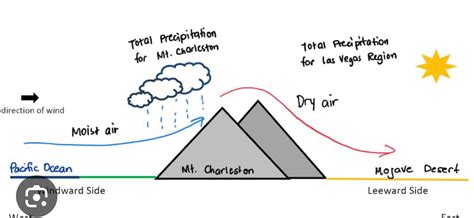 [Solved] Rain Shadow Diagram In the diagram below, label the following ...