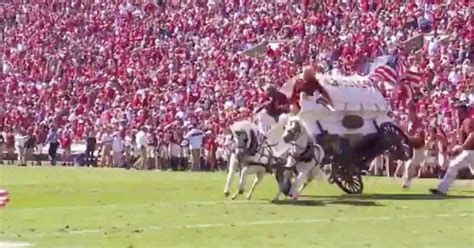 WATCH: Sooner Schooner rolls over in TD celebration accident