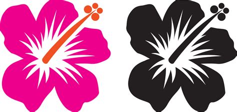 Hibiscus hawaii flower 4734101 Vector Art at Vecteezy