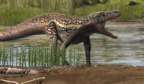 Ancient Fossils Unveil a Mysterious Reptile Species from 247 Million Years Ago