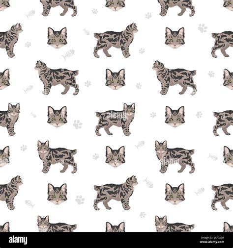 American Bobtail cat seamless pattern. All coat colors set. All cat ...