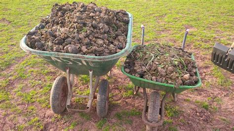 Little and large manure | Poo picking a-plenty | The Word Factory | Flickr