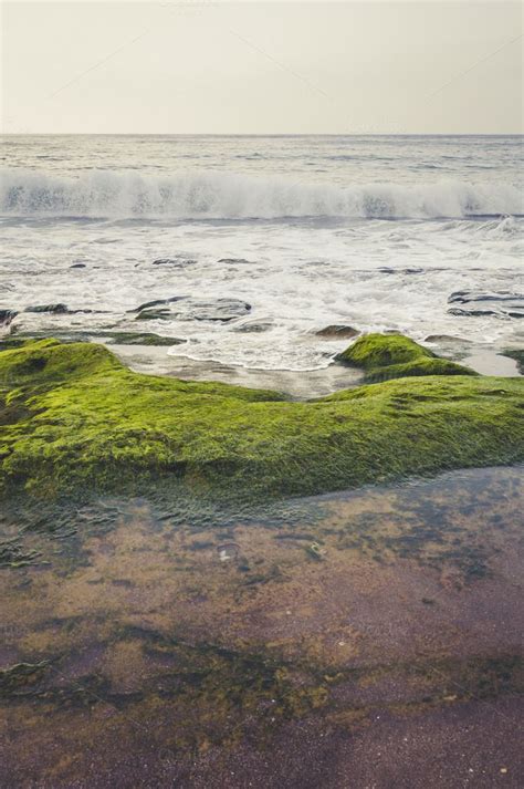 Green algae and rocks in the beach featuring beach, water, and coast | Green, Green algae, Beach