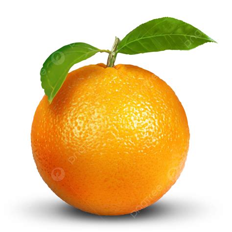 Clipart De Fruta Laranja Delicioso Desenhado à Mão Em Psd E Png PNG , Orange Fruit, Clipart De ...
