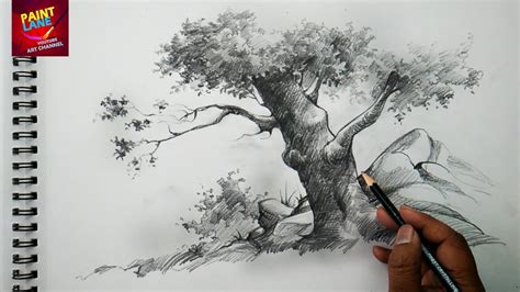 How To Draw Pencil Sketches Of Trees