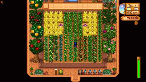 Stardew Valley: 14 Best Crops To Grow In The Greenhouse