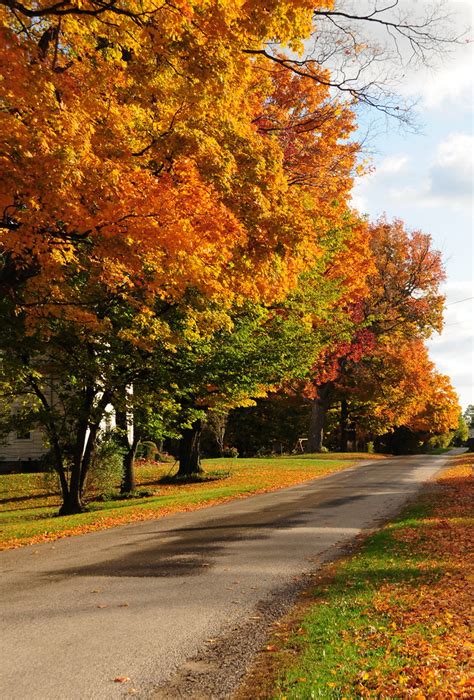 Fall in Ohio | catmonster1960 | Flickr