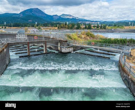 Fish ladders, Bonneville Dam, Columbia River Gorge National Scenic Area ...