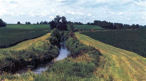 New research raises red flag over riparian buffer strips