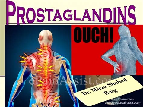 PPT - Prostaglandins PowerPoint Presentation, free download - ID:9594301