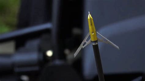 5 Best Fixed Blade Broadheads (Top Rated) In 2022