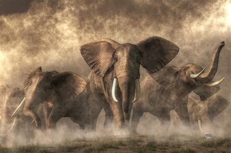 Elephant Stampede | Elephant Stampede Digital Art by Daniel Eskridge ...