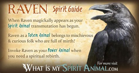 Raven Symbolism & Meaning | Spirit, Totem & Power Animal