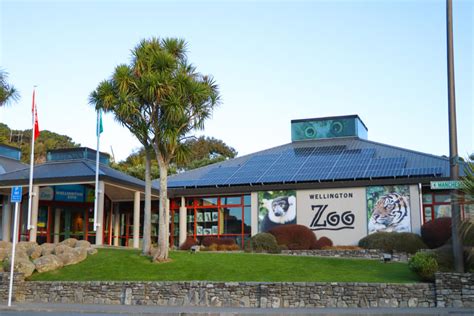 Wellington Zoo, Wellington: How To Reach, Best Time & Tips