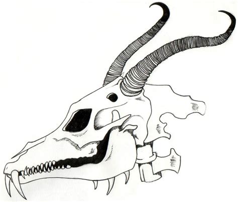 Dragon Skull by troublecat on DeviantArt