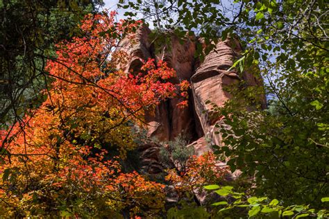 Fall Colors in Sedona 2024 - Rove.me