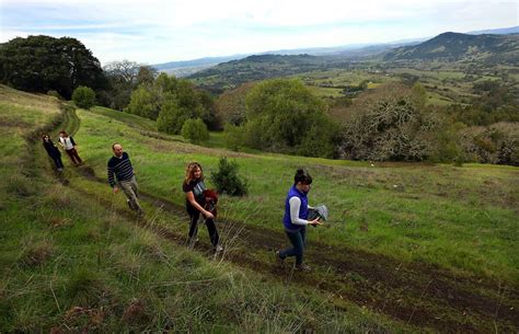 New county park on Sonoma Mountain offers miles of trails