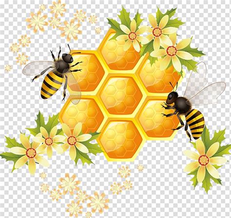 Bee Honeycomb Drawing - Drawing.rjuuc.edu.np
