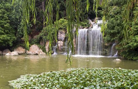 Annual Passes - Hunter Valley Gardens