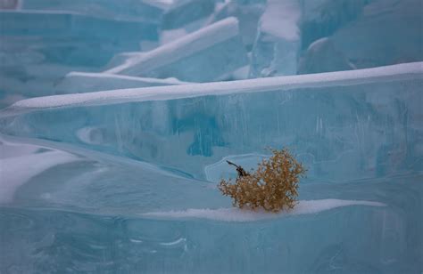 reflection, iceberg, ice, Lake Baikal, Arctic, Freezing, melting ...