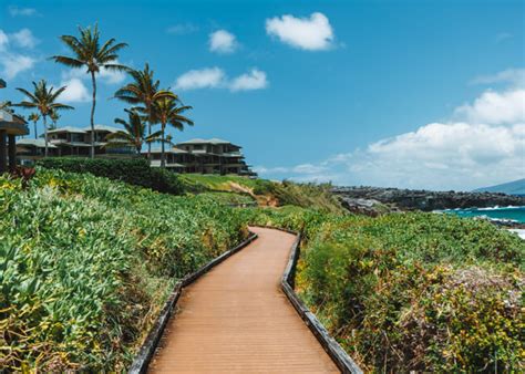 Hiking-Kapalua-Coastal-Trail-in-Maui | Fun Life Crisis